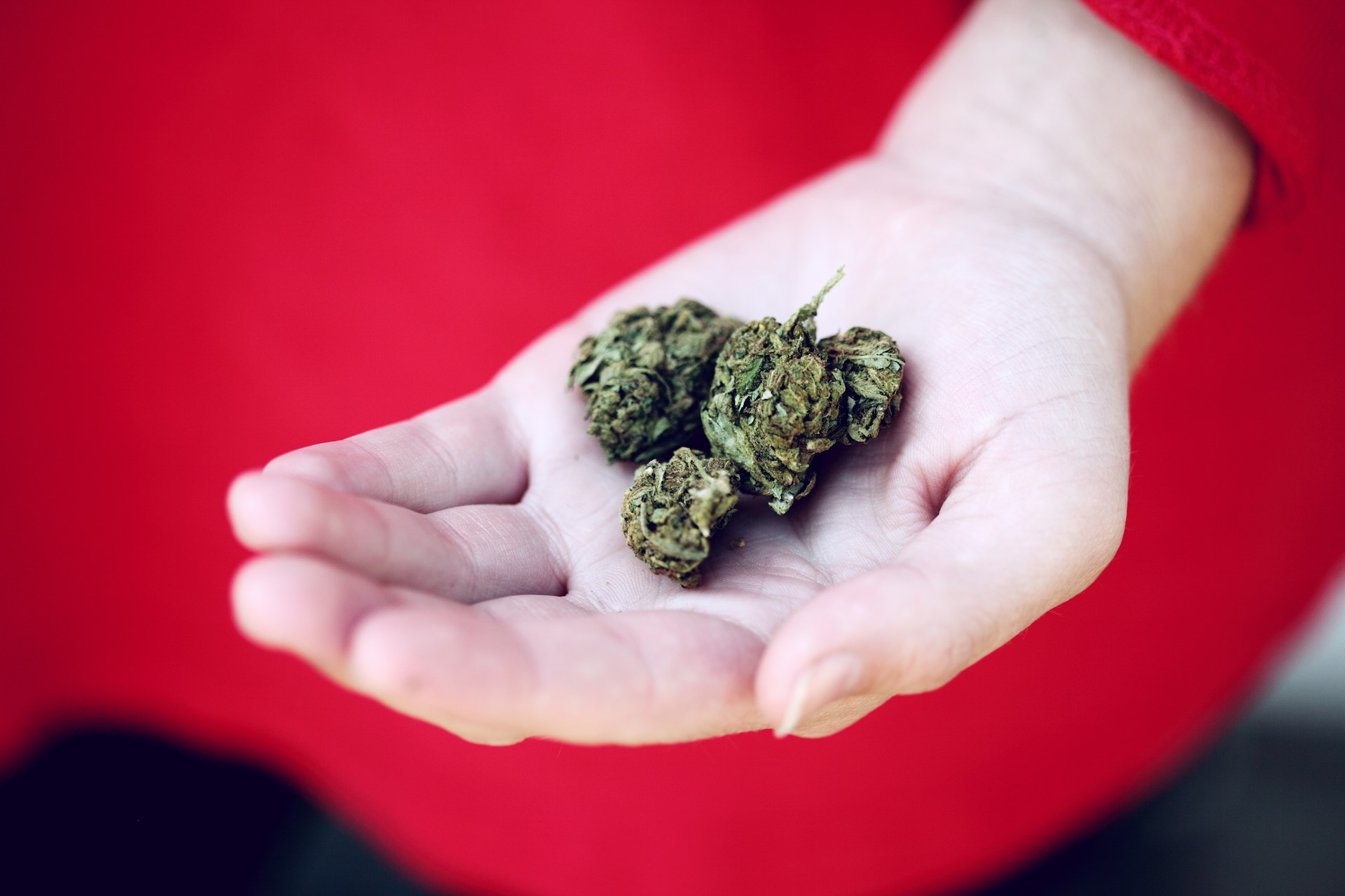 Woman holding marijuana in her hand